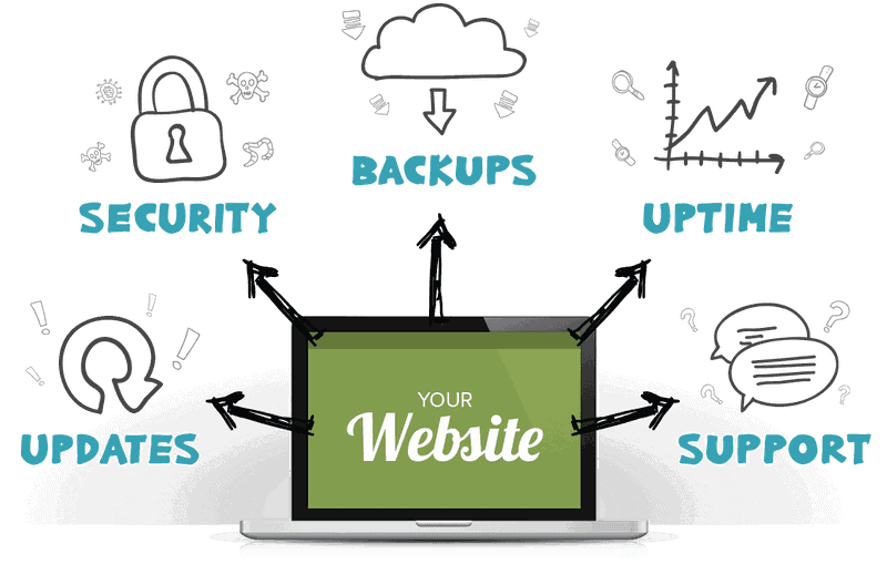Graphic of the five major components of a website care plan.