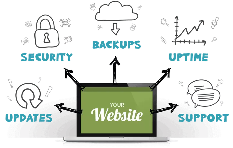 Graphic of the five major components of a website care plan.