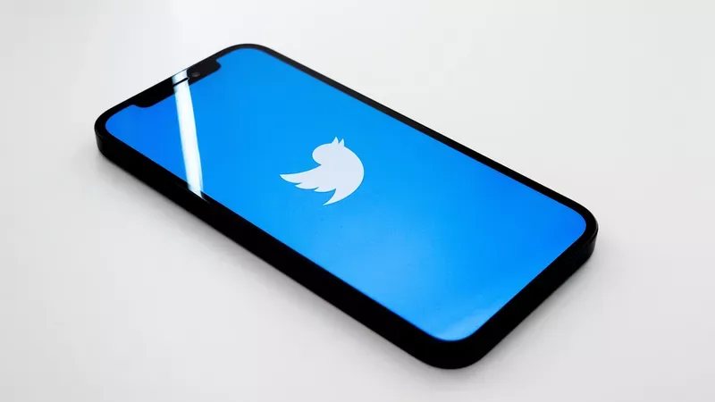 White Twitter logo on blue background is and example of Color Psychology Marketing